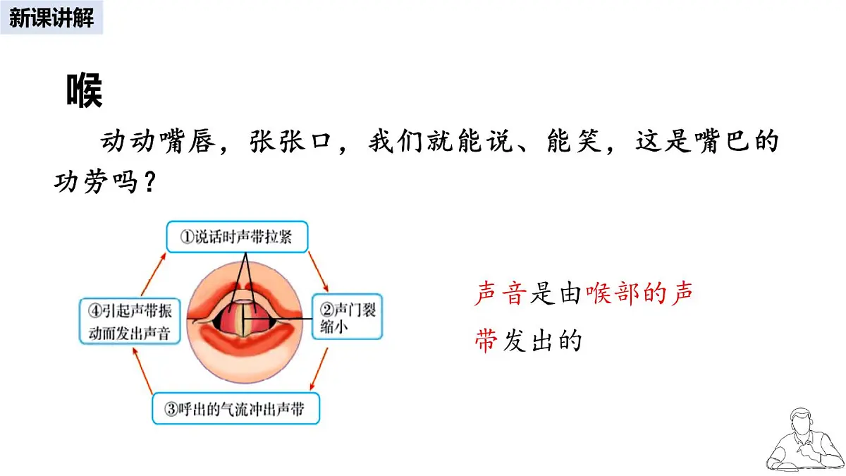 2024-2025学年人教版生物七年级下册 4.3.1 呼吸道对空气的处理 课件 课件第7页