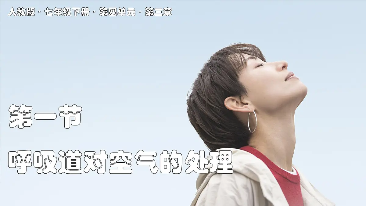 2024-2025学年人教版生物七年级下册 4.3.1 呼吸道对空气的处理 课件第1页