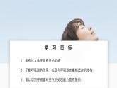 2024-2025學(xué)年人教版生物七年級(jí)下冊(cè) 4.3.1 呼吸道對(duì)空氣的處理 課件