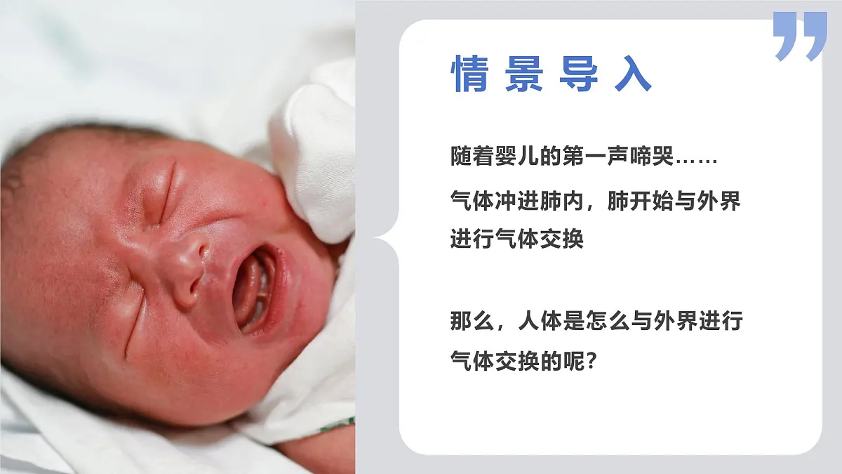 2024-2025学年人教版生物七年级下册 4.3.1 呼吸道对空气的处理 课件第3页