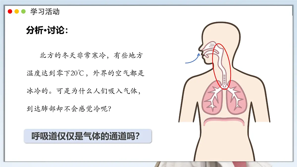 2024-2025学年人教版生物七年级下册 4.3.1 呼吸道对空气的处理 课件第8页