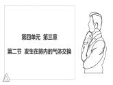 2024-2025學(xué)年人教版生物七年級(jí)下冊(cè) 4.3.2 發(fā)生在肺內(nèi)的氣體交換 課件 課件