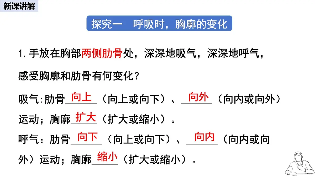 2024-2025学年人教版生物七年级下册 4.3.2 发生在肺内的气体交换 课件 课件第6页