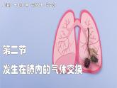 2024-2025學(xué)年人教版生物七年級(jí)下冊(cè) 4.3.2 發(fā)生在肺內(nèi)的氣體交換 課件
