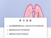 2024-2025學(xué)年人教版生物七年級(jí)下冊(cè) 4.3.2 發(fā)生在肺內(nèi)的氣體交換 課件