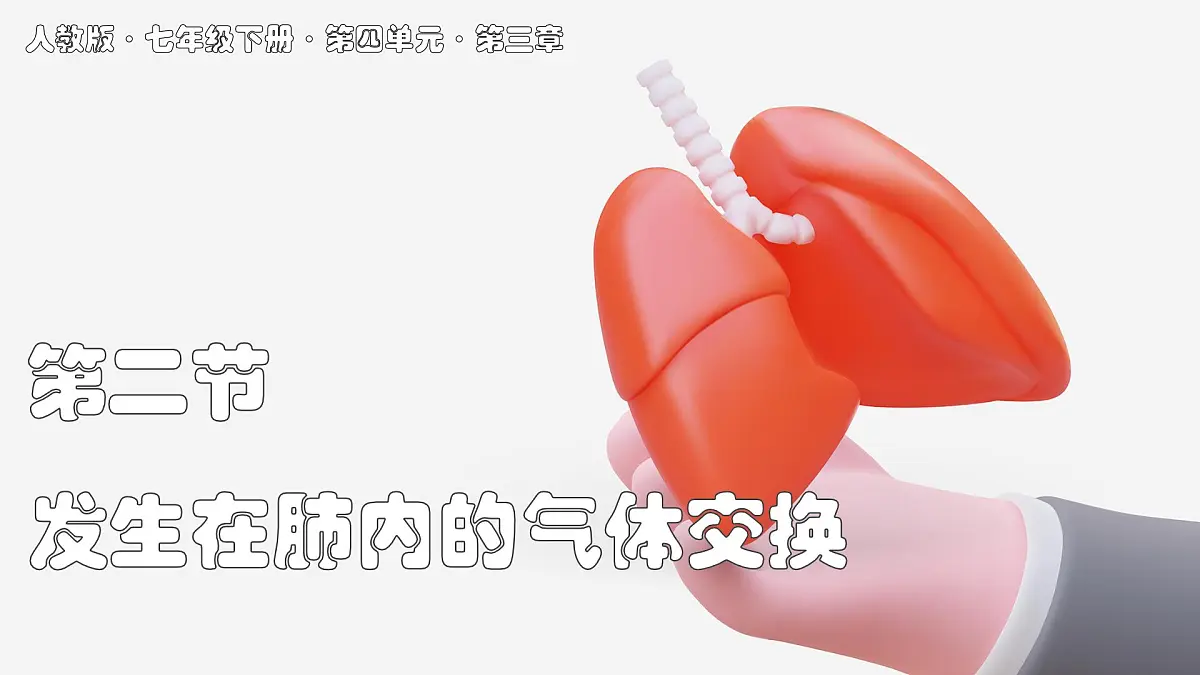 2024-2025学年人教版生物七年级下册 4.3.2发生在肺内的气体交换 课件 课件第1页