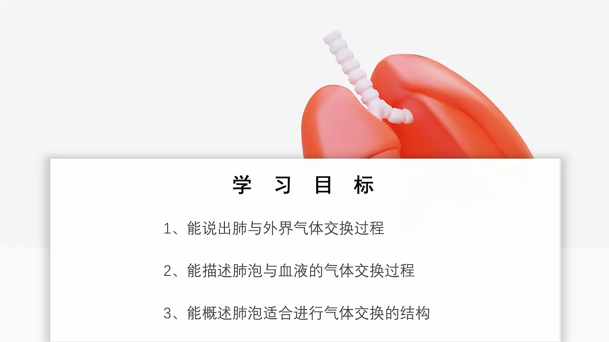 2024-2025学年人教版生物七年级下册 4.3.2发生在肺内的气体交换 课件 课件第2页