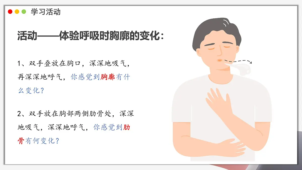 2024-2025学年人教版生物七年级下册 4.3.2发生在肺内的气体交换 课件 课件第8页