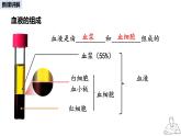 2024-2025學年人教版生物七年級下冊 4.4.1 流動的組織——血液 課件 課件