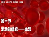 2024-2025學年人教版生物七年級下冊 4.4.1 流動的組織——血液 課件