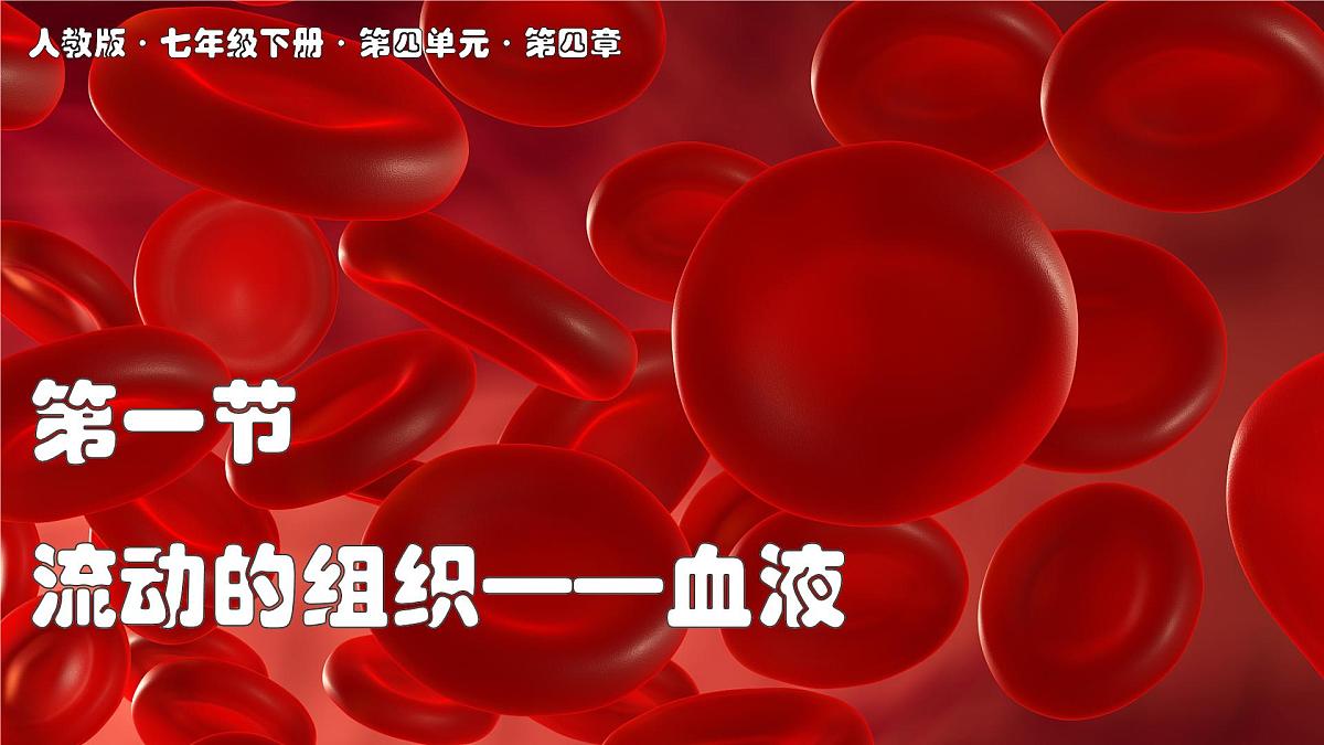 2024-2025学年人教版生物七年级下册 4.4.1 流动的组织——血液 课件第1页