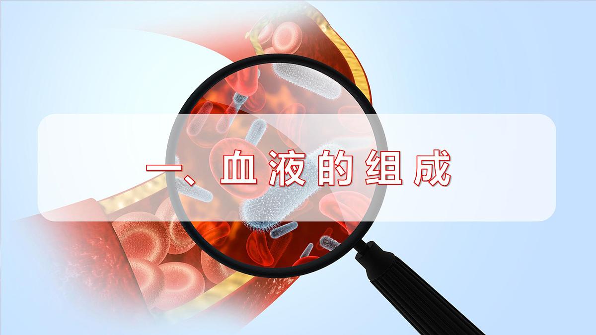 2024-2025学年人教版生物七年级下册 4.4.1 流动的组织——血液 课件第5页