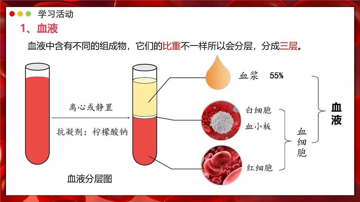 2024-2025学年人教版生物七年级下册 4.4.1 流动的组织——血液 课件第7页