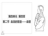 2024-2025學(xué)年人教版生物七年級(jí)下冊(cè) 4.4.2 血流的管道——血管 課件 課件