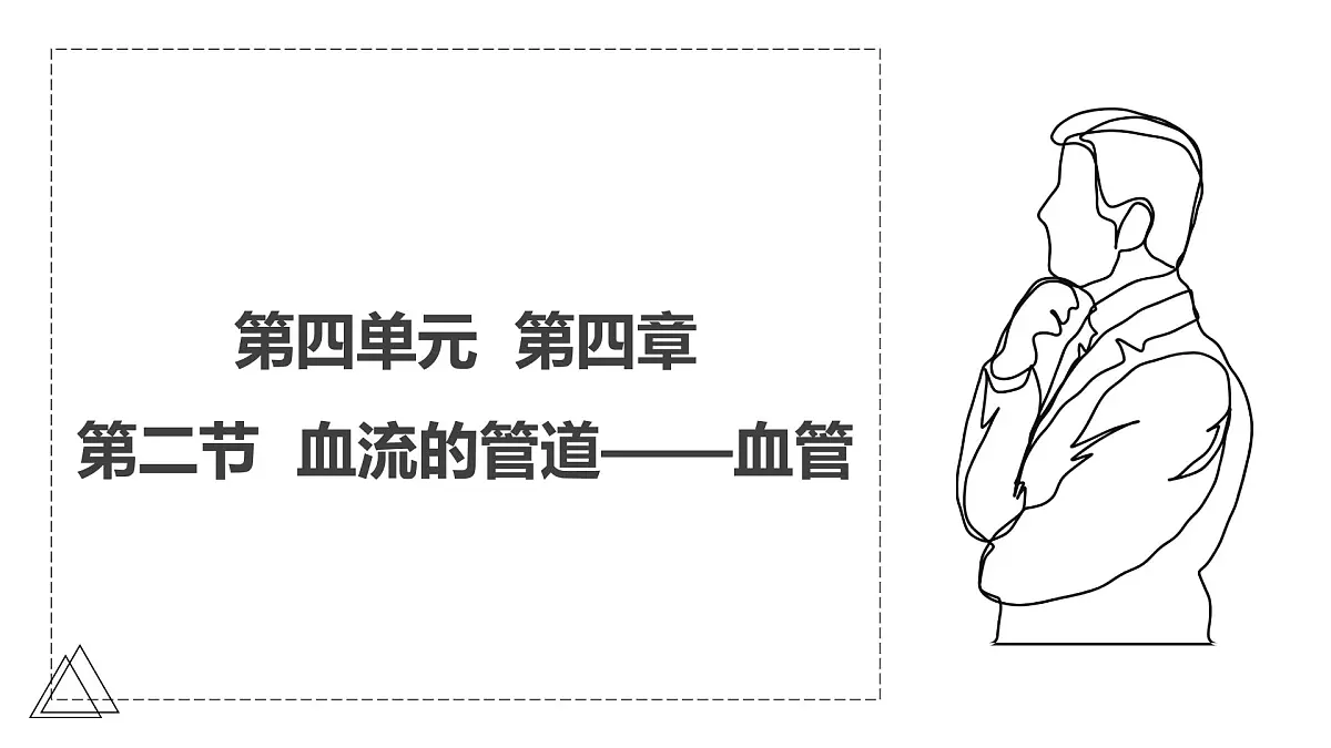 2024-2025学年人教版生物七年级下册 4.4.2 血流的管道——血管 课件 课件第1页