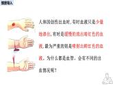 2024-2025學(xué)年人教版生物七年級(jí)下冊(cè) 4.4.2 血流的管道——血管 課件 課件