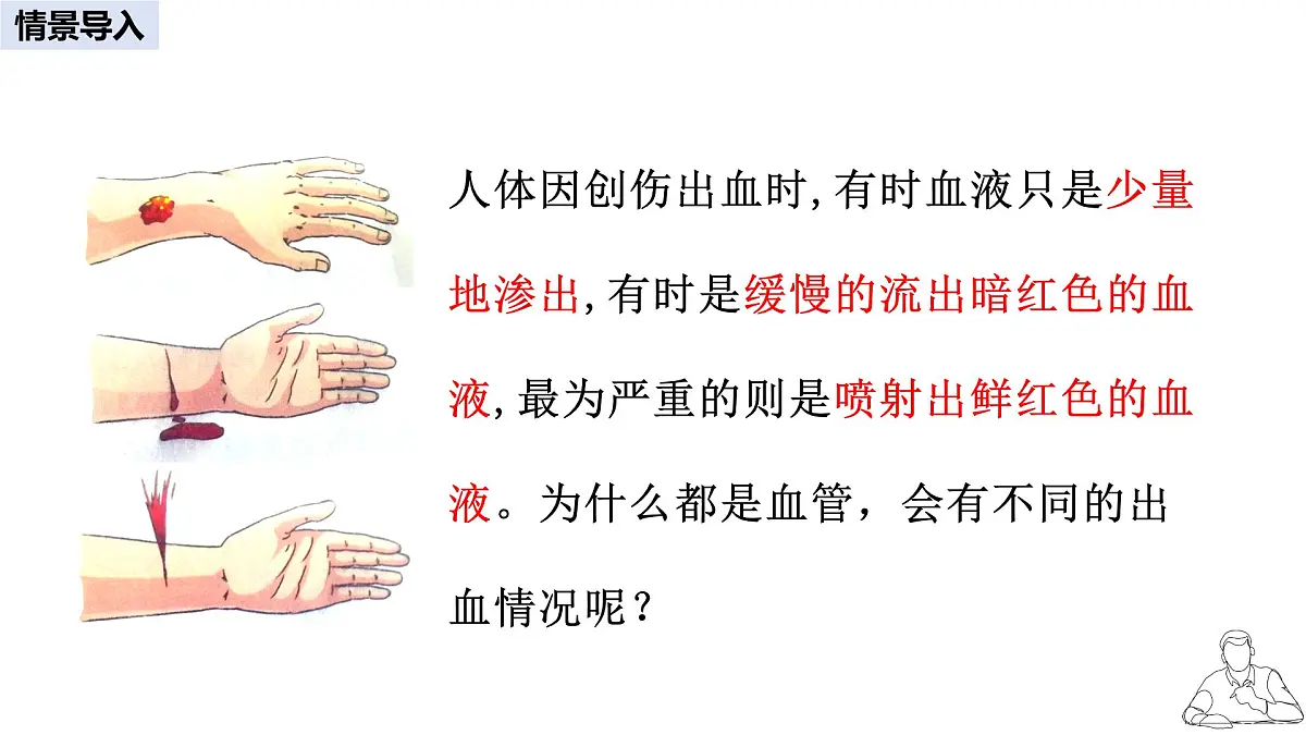 2024-2025学年人教版生物七年级下册 4.4.2 血流的管道——血管 课件 课件第2页