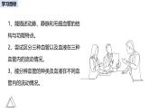 2024-2025學(xué)年人教版生物七年級(jí)下冊(cè) 4.4.2 血流的管道——血管 課件 課件