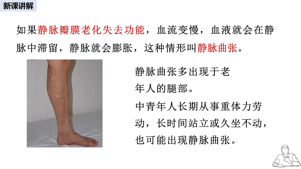 2024-2025学年人教版生物七年级下册 4.4.2 血流的管道——血管 课件 课件第6页