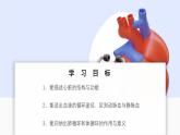 2024-2025學(xué)年人教版生物七年級(jí)下冊(cè) 4.4.3 輸送血液的泵——心臟 課件