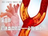2024-2025學(xué)年人教版生物七年級(jí)下冊(cè) 4.4.3 輸送血液的泵——心臟 課時(shí)1 課件 課件