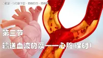 生物七年级下册(2024)输送血液的泵—心脏课文内容ppt课件