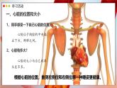 2024-2025學(xué)年人教版生物七年級(jí)下冊(cè) 4.4.3 輸送血液的泵——心臟 課時(shí)1 課件 課件