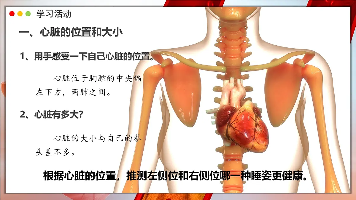 2024-2025学年人教版生物七年级下册 4.4.3 输送血液的泵——心脏 课时1 课件 课件第5页