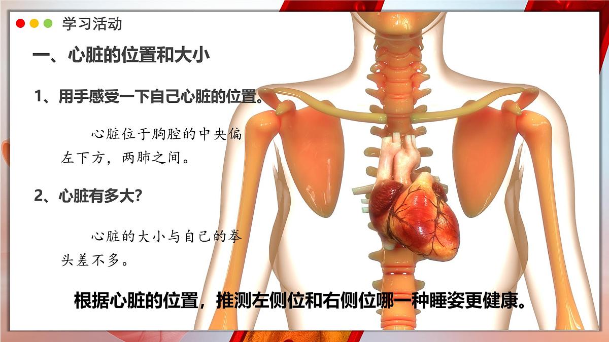 2024-2025学年人教版生物七年级下册 4.4.3 输送血液的泵——心脏 课时1 课件 课件第5页