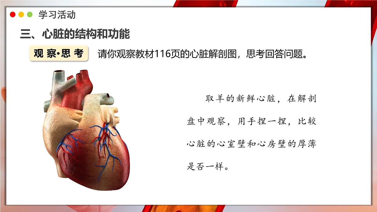 2024-2025学年人教版生物七年级下册 4.4.3 输送血液的泵——心脏 课时1 课件 课件第8页