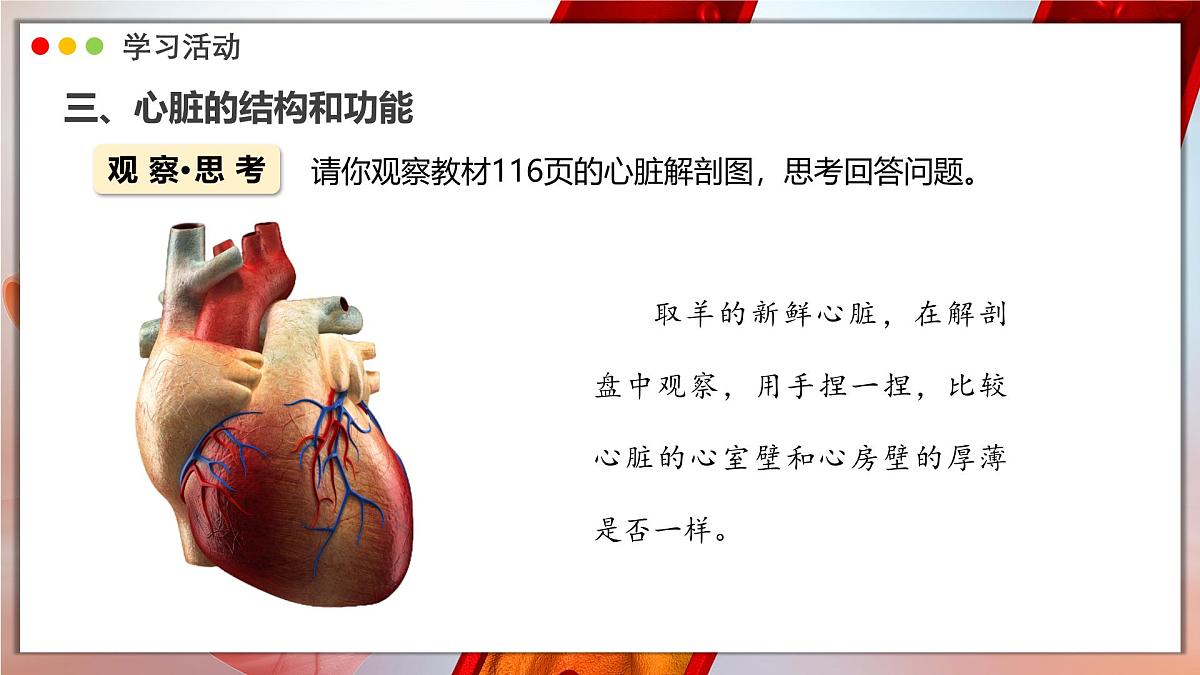 2024-2025学年人教版生物七年级下册 4.4.3 输送血液的泵——心脏 课时1 课件 课件第8页