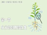 2024-2025學(xué)年人教版生物七年級下冊 3.2.1  水分的利用和散失課件