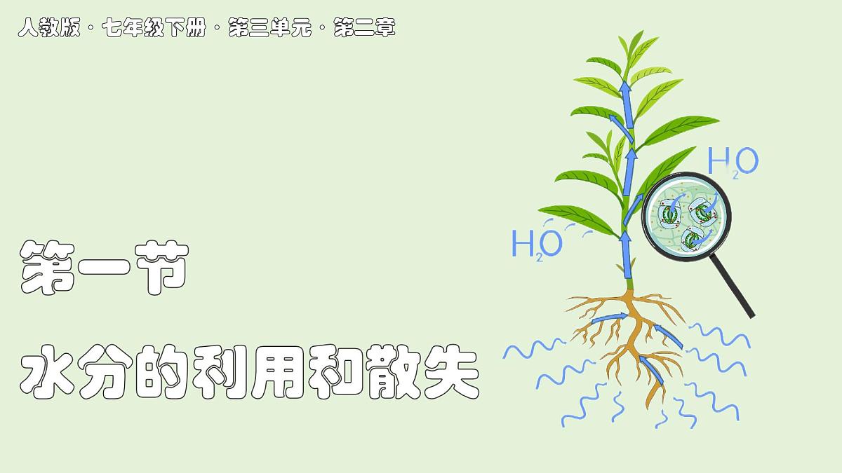 2024-2025学年人教版生物七年级下册 3.2.1  水分的利用和散失课件第1页