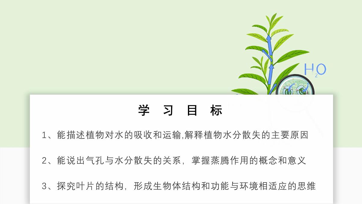 2024-2025学年人教版生物七年级下册 3.2.1  水分的利用和散失课件第2页