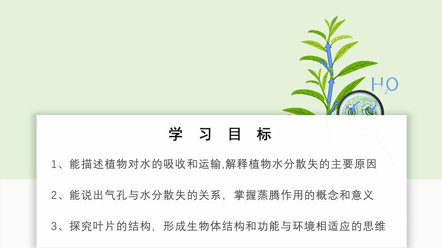 2024-2025学年人教版生物七年级下册 3.2.1 水分的利用和散失课件第2页