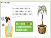 2024-2025學(xué)年人教版生物七年級下冊 3.2.1  水分的利用和散失課件