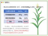 2024-2025學(xué)年人教版生物七年級下冊 3.2.1  水分的利用和散失課件