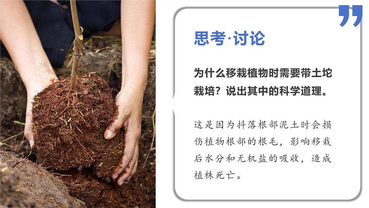 2024-2025学年人教版生物七年级下册 3.2.1  水分的利用和散失课件第7页