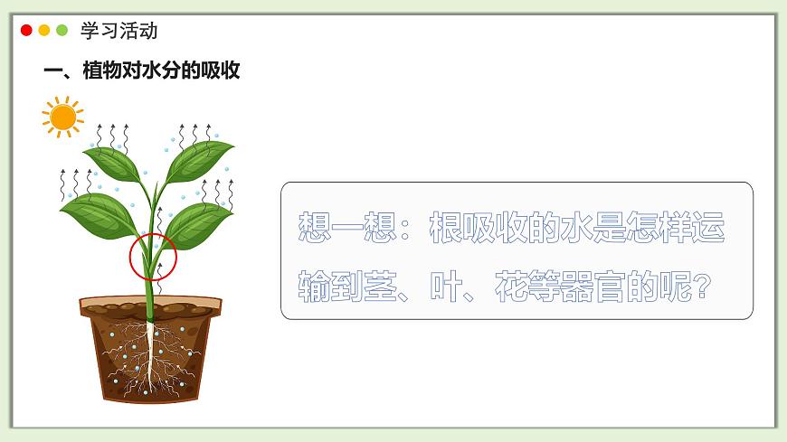 2024-2025学年人教版生物七年级下册 3.2.1 水分的利用和散失课件第8页