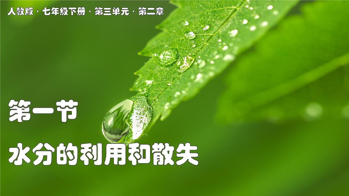 2024-2025学年人教版生物七年级下册 3.2.1 水分的利用和散失 课件第1页