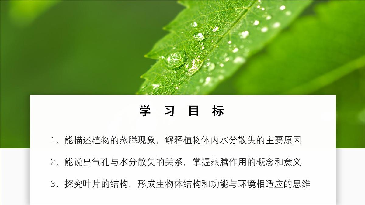 2024-2025学年人教版生物七年级下册 3.2.1 水分的利用和散失 课件第2页