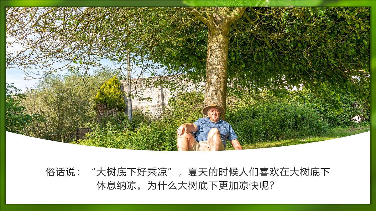 2024-2025学年人教版生物七年级下册 3.2.1 水分的利用和散失 课件第3页