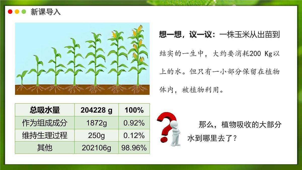 2024-2025学年人教版生物七年级下册 3.2.1 水分的利用和散失 课件第4页
