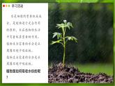2024-2025學(xué)年人教版生物七年級下冊 3.2.1 水分的利用和散失 課件