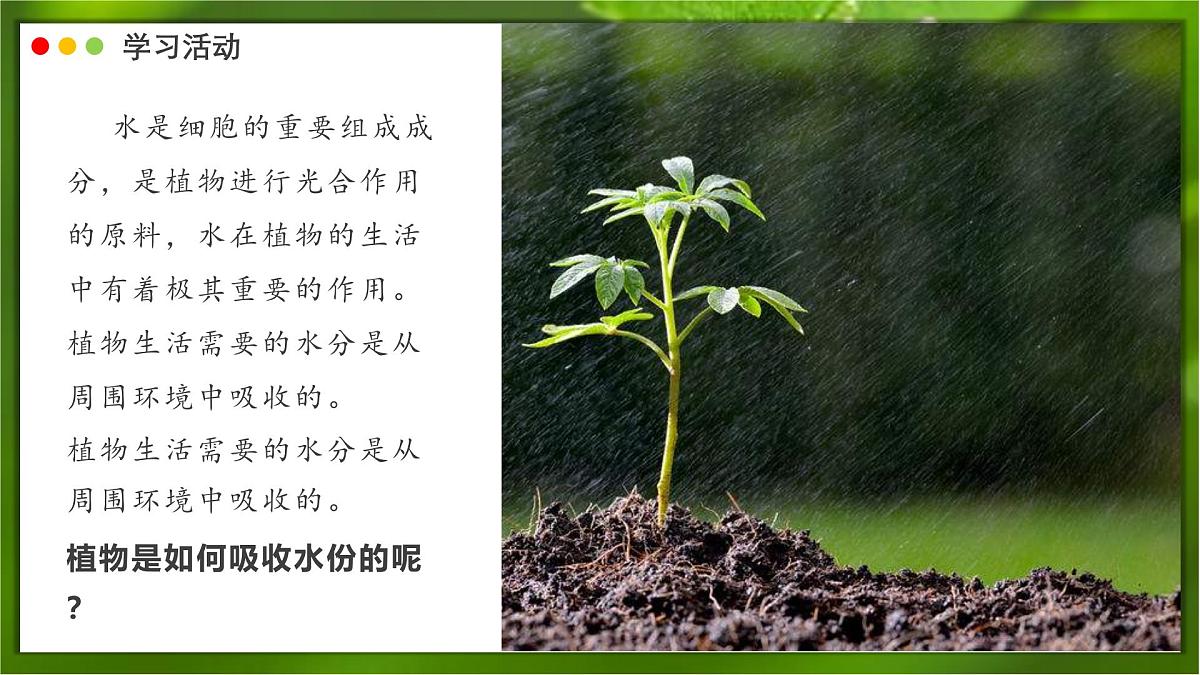 2024-2025学年人教版生物七年级下册 3.2.1 水分的利用和散失 课件第5页