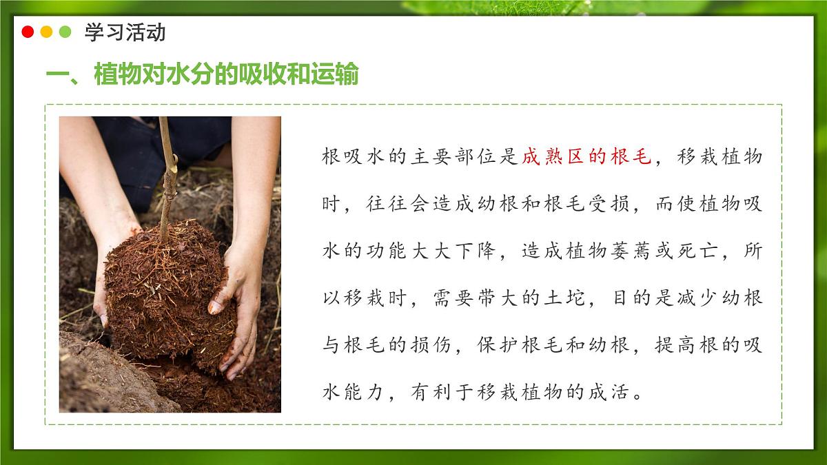 2024-2025学年人教版生物七年级下册 3.2.1 水分的利用和散失 课件第8页