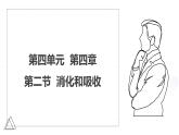 2024-2025學(xué)年人教版生物七年級下冊 4.2.2  消化和吸收 課件