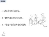 2024-2025學(xué)年人教版生物七年級下冊 4.2.2  消化和吸收 課件