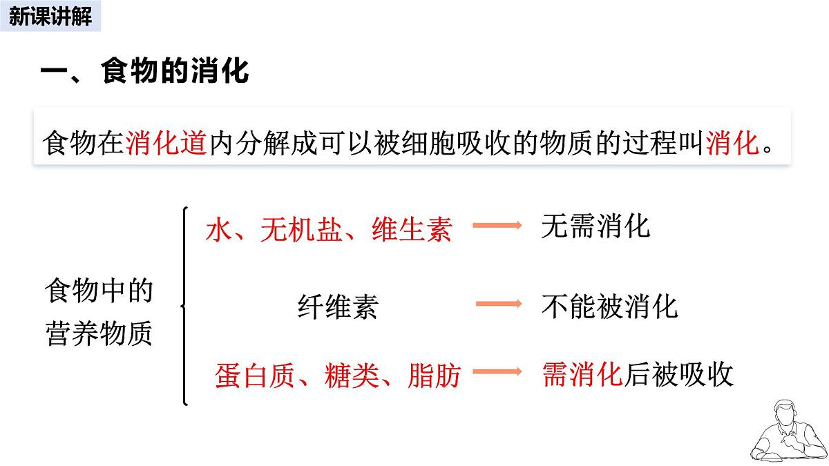 2024-2025学年人教版生物七年级下册 4.2.2  消化和吸收 课件第4页