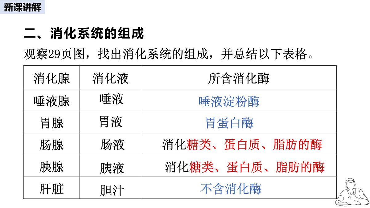 2024-2025学年人教版生物七年级下册 4.2.2  消化和吸收 课件第6页